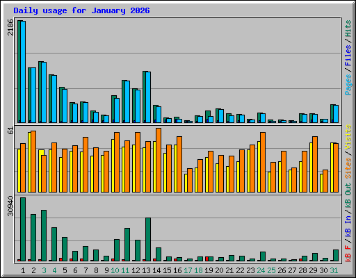 Daily usage for January 2026