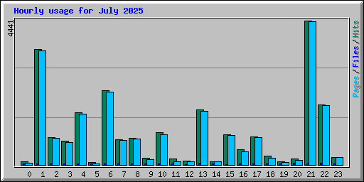 Hourly usage for July 2025