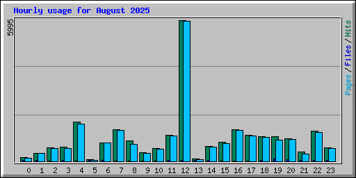 Hourly usage for August 2025