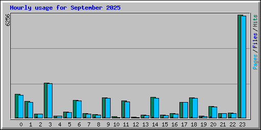Hourly usage for September 2025