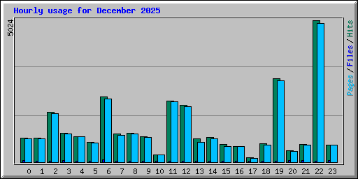 Hourly usage for December 2025