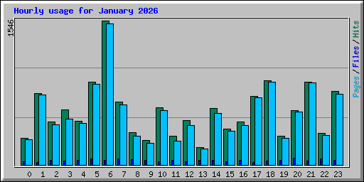 Hourly usage for January 2026