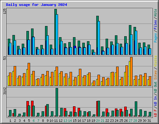 Daily usage for January 2024