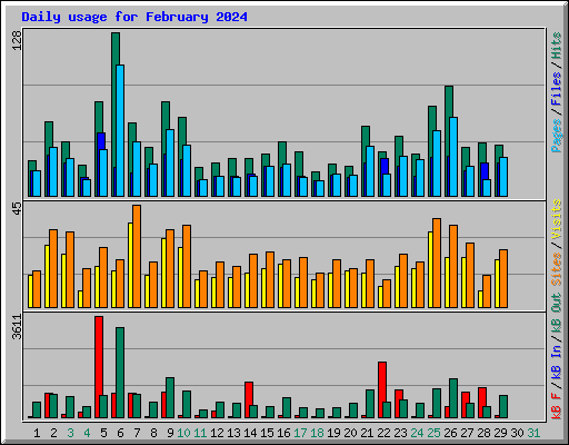 Daily usage for February 2024