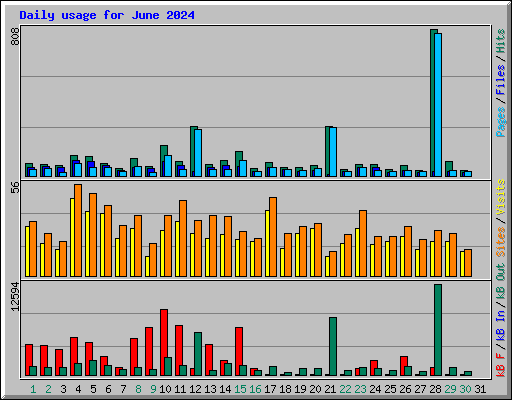 Daily usage for June 2024