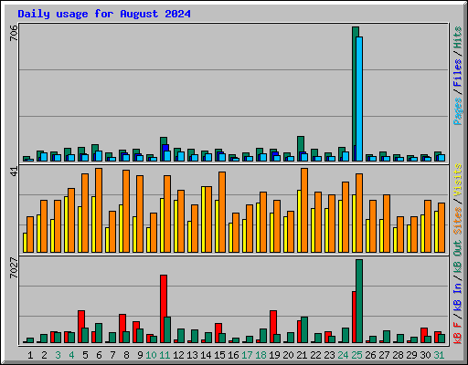 Daily usage for August 2024