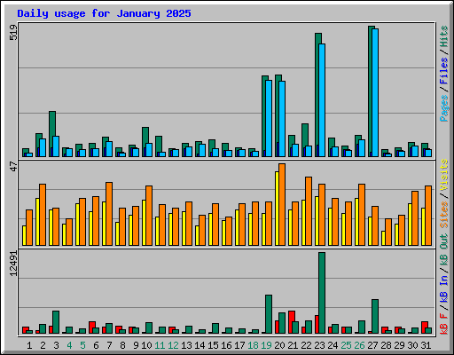 Daily usage for January 2025