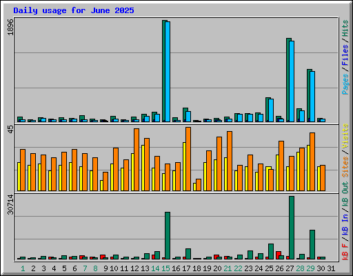 Daily usage for June 2025