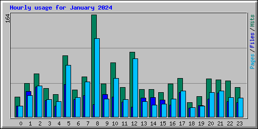 Hourly usage for January 2024