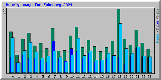 Hourly usage for February 2024