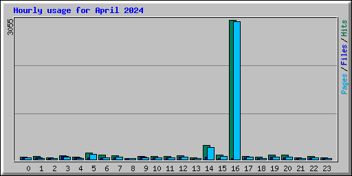 Hourly usage for April 2024