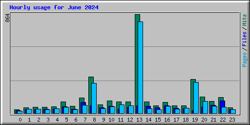 Hourly usage for June 2024