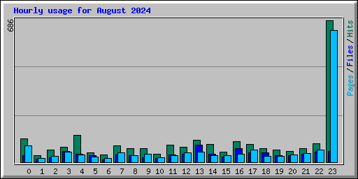 Hourly usage for August 2024