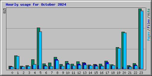 Hourly usage for October 2024