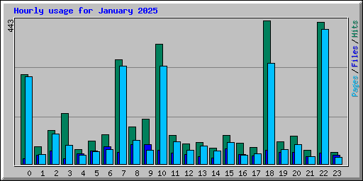 Hourly usage for January 2025