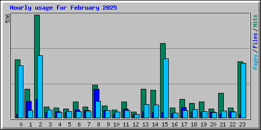 Hourly usage for February 2025