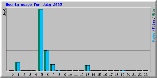Hourly usage for July 2025