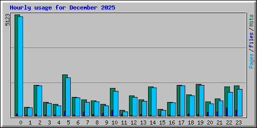 Hourly usage for December 2025
