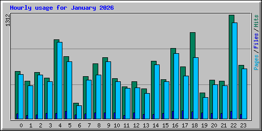 Hourly usage for January 2026