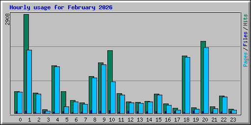 Hourly usage for February 2026