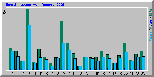 Hourly usage for August 2026