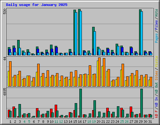 Daily usage for January 2025