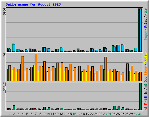 Daily usage for August 2025