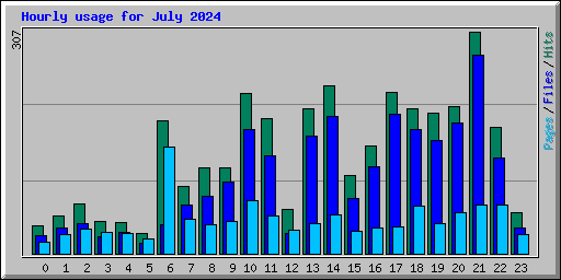 Hourly usage for July 2024