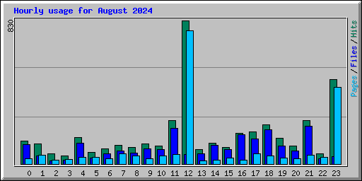 Hourly usage for August 2024