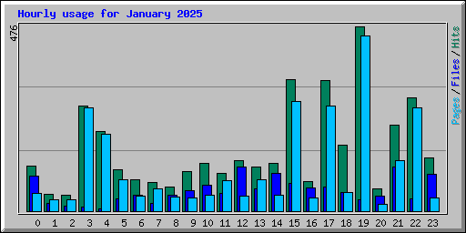 Hourly usage for January 2025