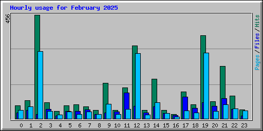 Hourly usage for February 2025