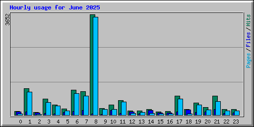 Hourly usage for June 2025