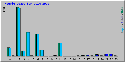 Hourly usage for July 2025