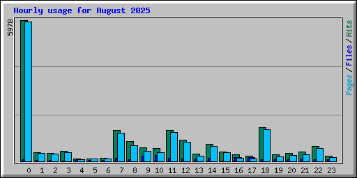 Hourly usage for August 2025