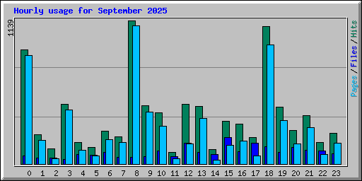 Hourly usage for September 2025