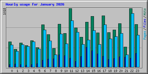 Hourly usage for January 2026