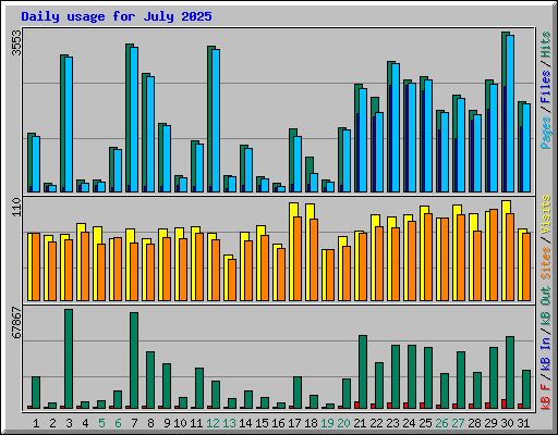 Daily usage for July 2025