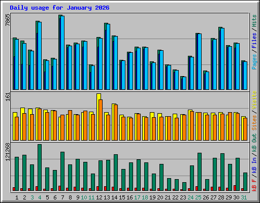 Daily usage for January 2026