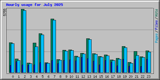 Hourly usage for July 2025