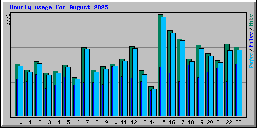 Hourly usage for August 2025