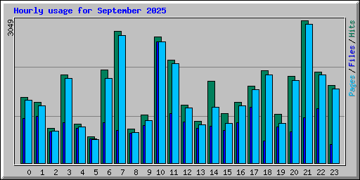 Hourly usage for September 2025