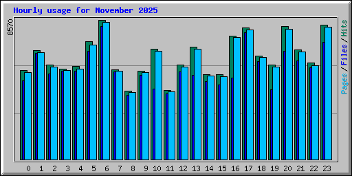Hourly usage for November 2025