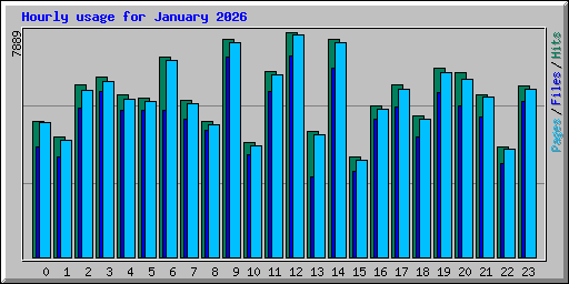Hourly usage for January 2026