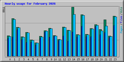 Hourly usage for February 2026
